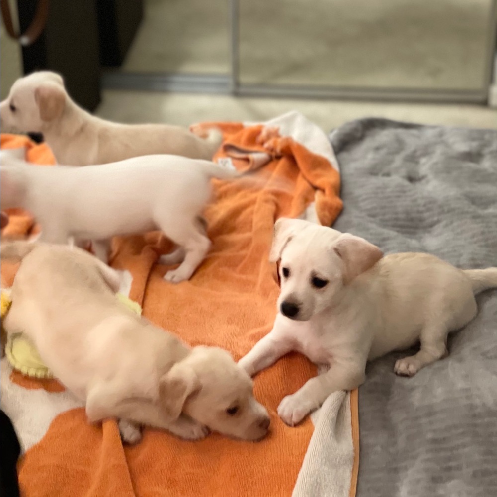 Meet your Posher, Cathy